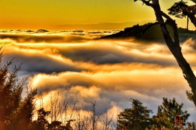 大雪山國家森林遊樂區雲海一景 